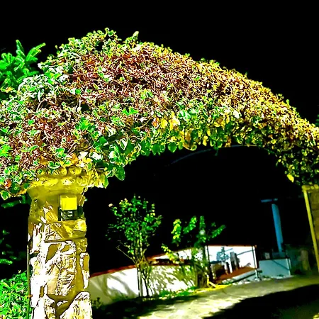 Casa Paola アパート